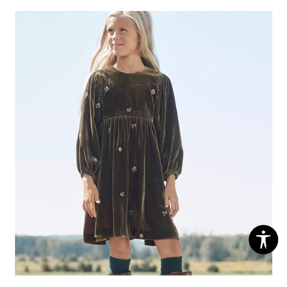 Zara LIMITED EDITION EMBROIDERED FLORAL VELVET DRESS